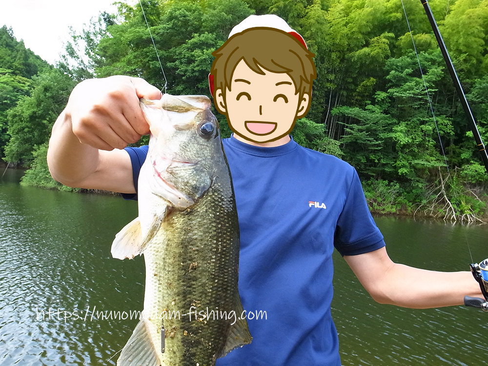 布目ダム おかっぱりバス釣りポイント5選 奈良 布目ダム バス釣り情報ブログ